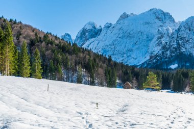 İtalya 'da Saisera Vadisi kış manzarası 