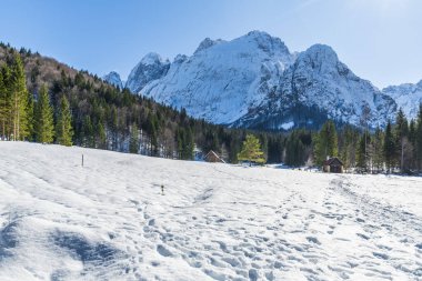 İtalya 'da Saisera Vadisi kış manzarası 