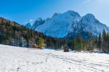 İtalya 'da Saisera Vadisi kış manzarası 