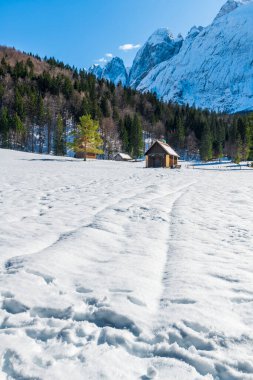 İtalya 'da Saisera Vadisi kış manzarası 
