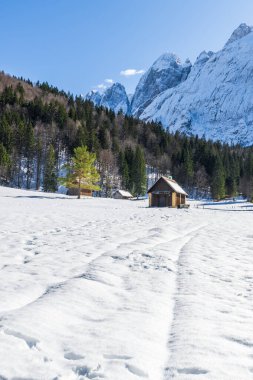 İtalya 'da Saisera Vadisi kış manzarası 