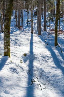 İtalya 'da Saisera Vadisi kış manzarası 