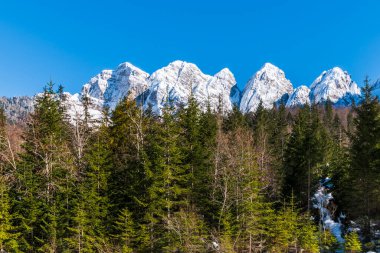 İtalya 'da Saisera Vadisi kış manzarası 
