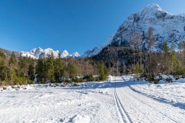 İtalya 'da Saisera Vadisi kış manzarası 