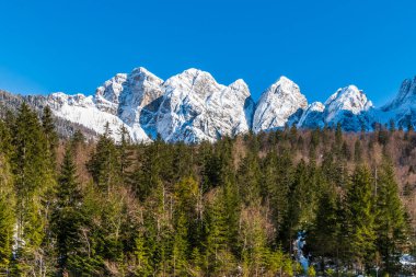 İtalya 'da Saisera Vadisi kış manzarası 