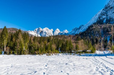İtalya 'da Saisera Vadisi kış manzarası 