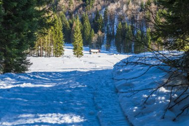 İtalya 'da Saisera Vadisi kış manzarası 