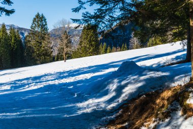 İtalya 'da Saisera Vadisi kış manzarası 