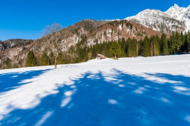 İtalya 'da Saisera Vadisi kış manzarası 