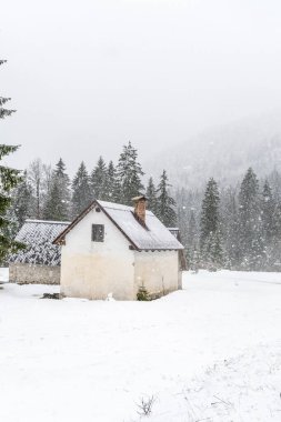İtalya 'da Saisera Vadisi kış manzarası 
