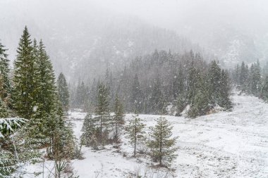 İtalya 'da Saisera Vadisi kış manzarası 