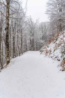 İtalya 'da Saisera Vadisi kış sahnesi kapanıyor 