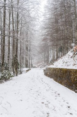 İtalya 'da Saisera Vadisi kış sahnesi kapanıyor 