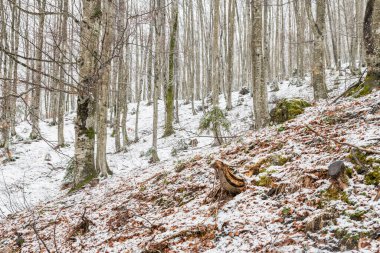 İtalya 'da Saisera Vadisi kış sahnesi kapanıyor 