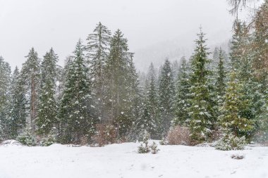 İtalya 'da Saisera Vadisi kış sahnesi kapanıyor 