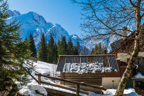 Saisera Valley Winter Landscape Italy — Stock Photo, Image