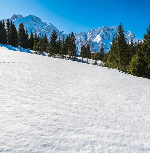 Vinterlandskap Saisera Valley Italien — Stockfoto