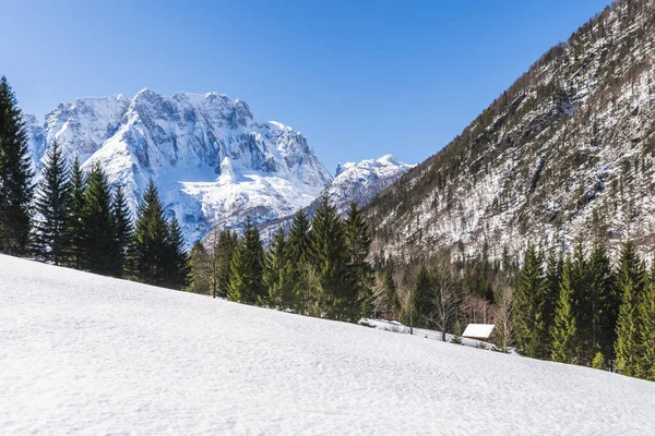 Valle Saisera Paisaje Invierno Italia — Foto de Stock