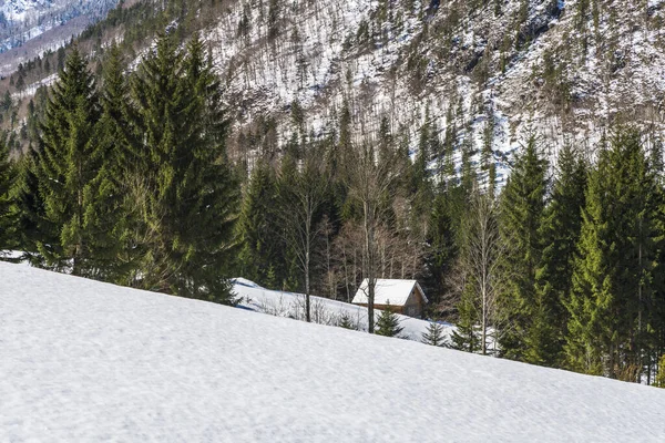 Saisera Valley Winterlandschaft Italien — Stockfoto