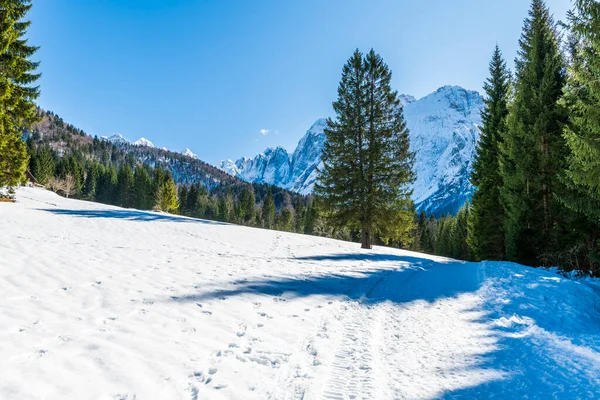 Зимний Пейзаж Долины Сайсера Италии — стоковое фото