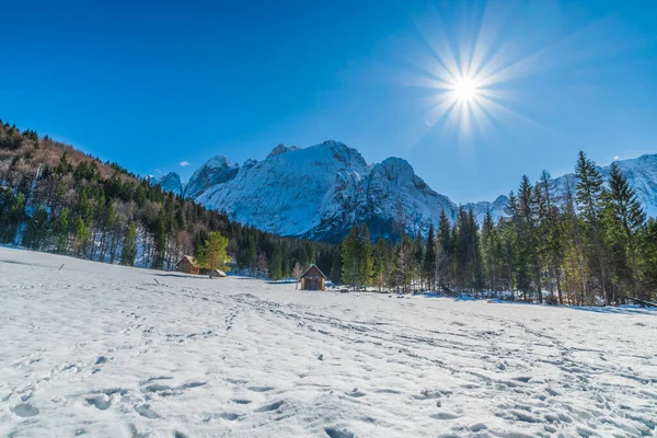 イタリアのSaisera Valley冬の風景 — ストック写真