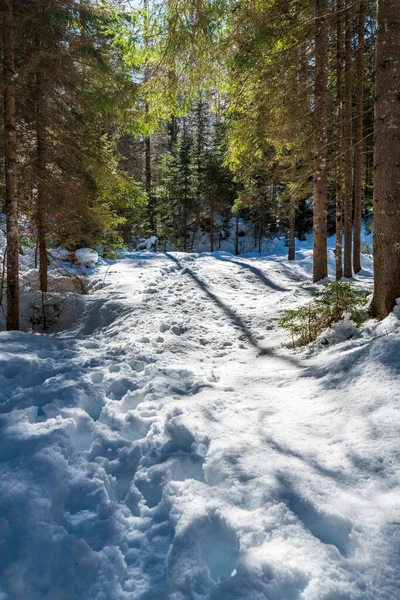 Zimní Krajina Údolí Saisera Itálii — Stock fotografie