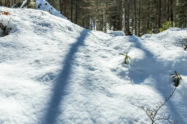 Zimní Krajina Údolí Saisera Itálii — Stock fotografie