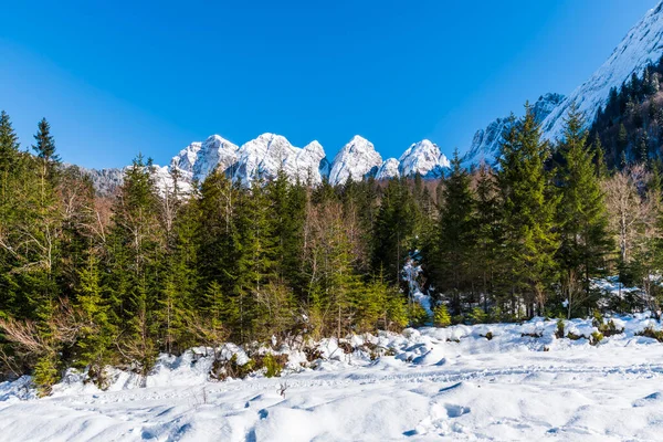 Saisera Valley Winterlandschap Italië — Stockfoto
