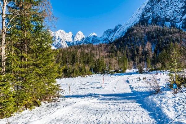 Zimní Krajina Údolí Saisera Itálii — Stock fotografie