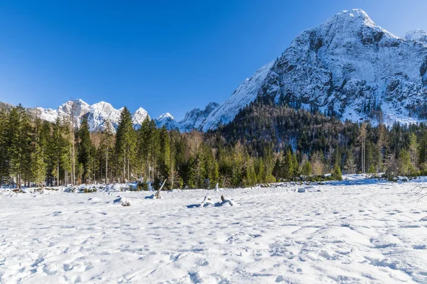 Valle Saisera Paisaje Invierno Italia — Foto de Stock