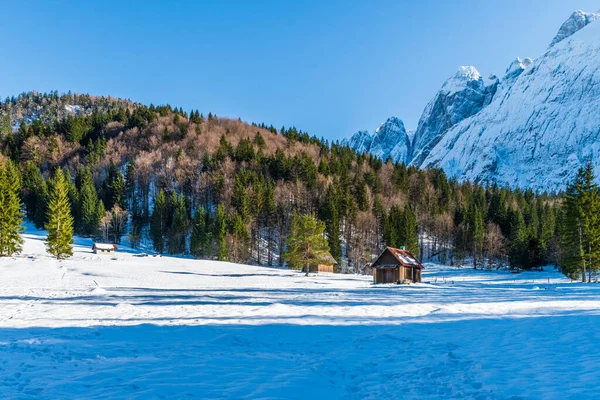 Saisera Valley Vinterlandskap Italia – stockfoto