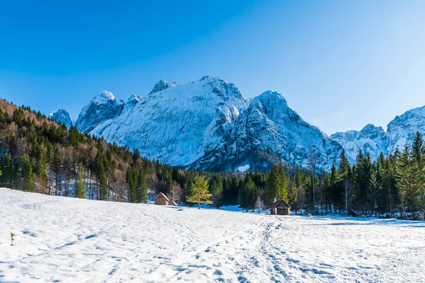 Vallée Saisera Paysage Hivernal Italie — Photo