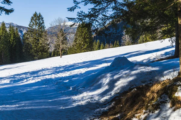Vinterlandskap Saisera Valley Italien — Stockfoto