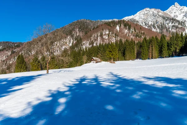 Saisera Valley Winterlandschap Italië — Stockfoto