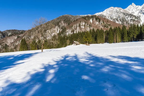 Vallée Saisera Paysage Hivernal Italie — Photo