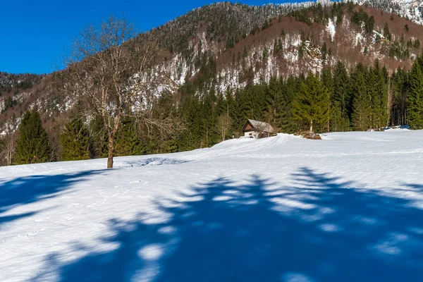 Saisera Valley Winterlandschaft Italien — Stockfoto