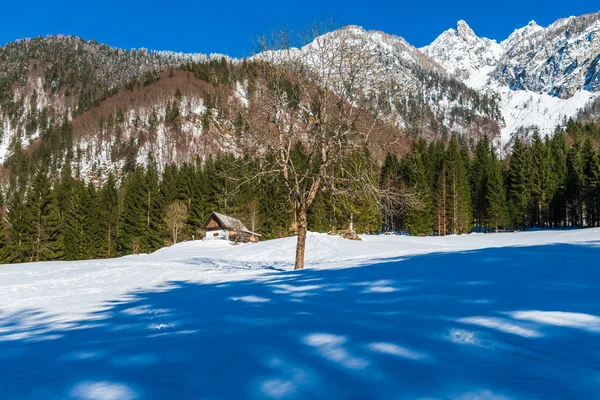 Зимний Пейзаж Долины Сайсера Италии — стоковое фото