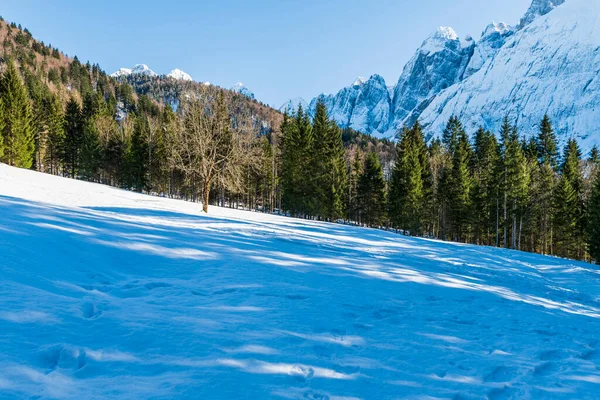 Saisera Valley Winterlandschaft Italien — Stockfoto