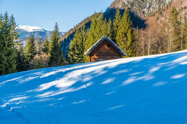 Vinterlandskap Saisera Valley Italien — Stockfoto