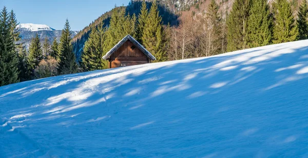 意大利Saisera Valley冬季景观 — 图库照片