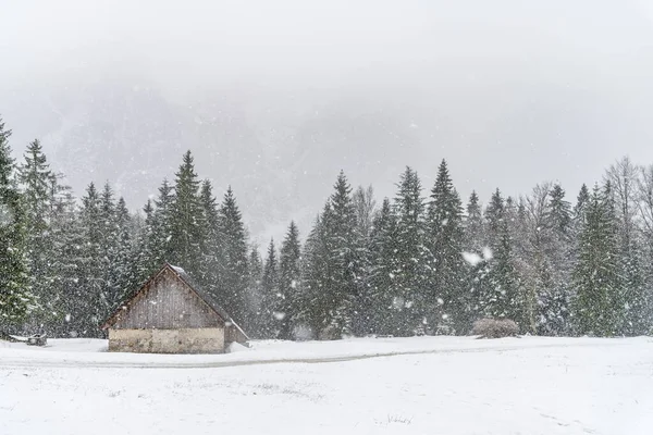 Зимняя Сцена Долине Сайсера Италии — стоковое фото