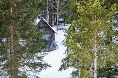 İtalya 'da kış aylarında Sappada manzarası 