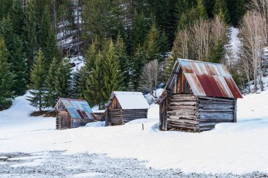 İtalya 'da kış aylarında Sappada manzarası 