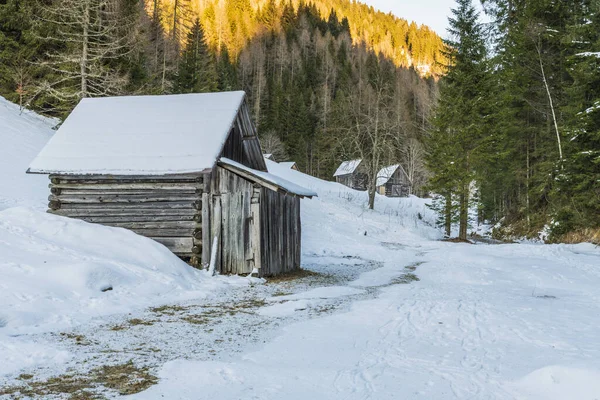 Vista Sappada Durante Invierno Italia —  Fotos de Stock