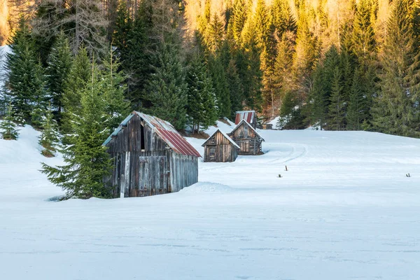 Vista Sappada Durante Invierno Italia —  Fotos de Stock