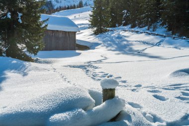 Monte Croce kış manzarası, İtalya 