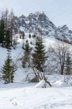 Monte Croce kış manzarası, İtalya 