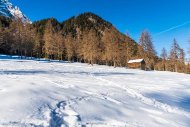 Val Fiscalina, Güney Tyrol, dağlarda kış mevsimi manzarası, kayak merkezindeki ahşap ev 