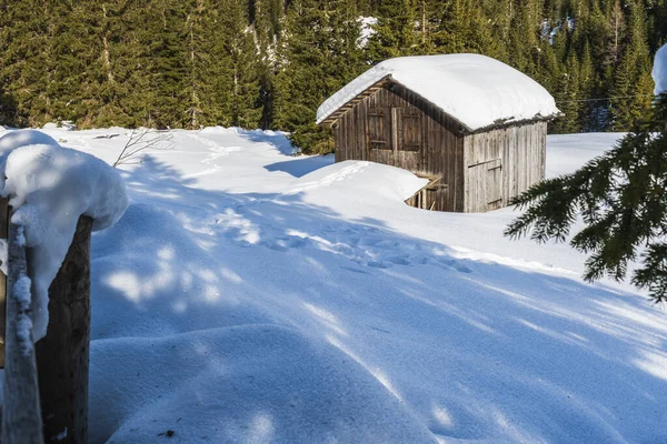 Зимовий Пейзаж Монте Кроче Італія — стокове фото