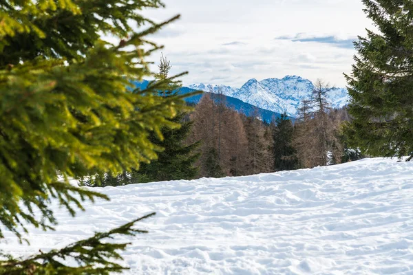 Monte Croce Paisaje Invernal Italia —  Fotos de Stock